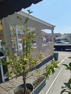 Canvas Patio roller blinds and Awnings