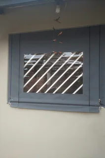 Canvas Patio and Lapa roller blinds and awnings