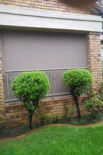 Patio Canvas roller blinds and Awnings