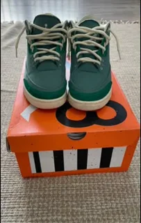 Air Jordan 3 retro