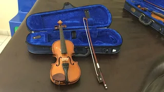Stentor Student I Violins (1/16 size)