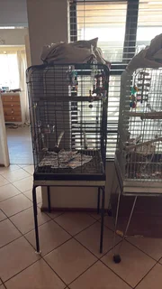 Bird Cgaes for Sale
