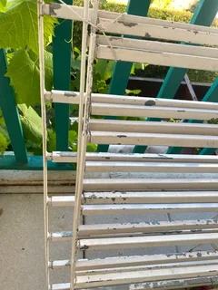 Ceiling lights security rails and book shelves