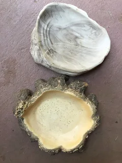 Reptile water or food bowls