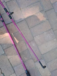 New 10 foot Carp Strike 10 foot 2 pc rod