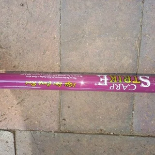 New 10 foot Carp Strike 10 foot 2 pc rod