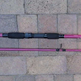 New 10 foot Carp Strike 10 foot 2 pc rod