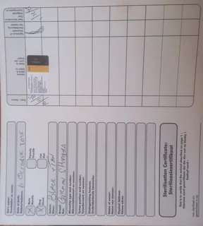 German Shepherd Puppies