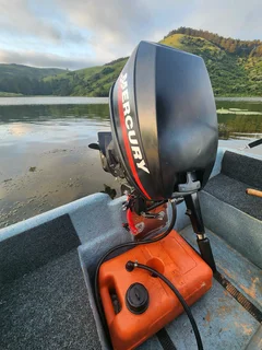 Tigerfish 10 highside