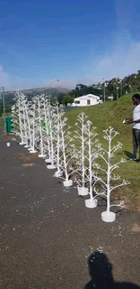 Christmas tree at affordable prices