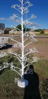 Christmas tree at affordable prices