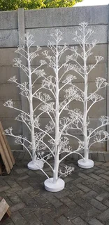 Christmas Trees At Affordable Prices