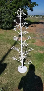 CHRISTMAS TREES AT AFFORDABLE PRICES