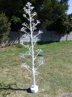 CHRISTMAS TREES AT AFFORDABLE PRICES