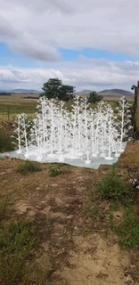 CHRISTMAS TREES AT AFFORDABLE PRICES