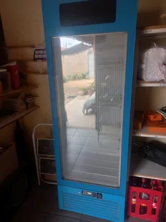 Single door display freezer