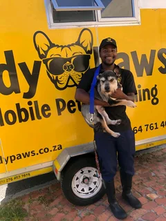 tidy Paws Is Hiring – Pet Groomer