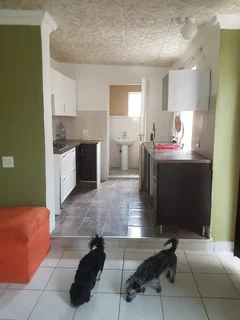 Bachelor Pad - Lyndhurst, Johannesburg