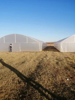 Vegetable greenhouse