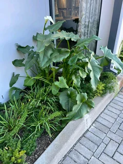 Service&amp;, renovations wallpaper installation paving, painting and waterproofing