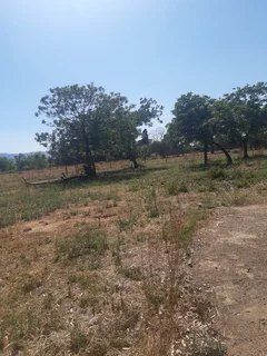 Small Holding for Sale