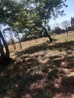 Small Holding for Sale