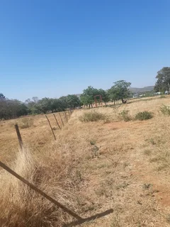 Small Holding for Sale