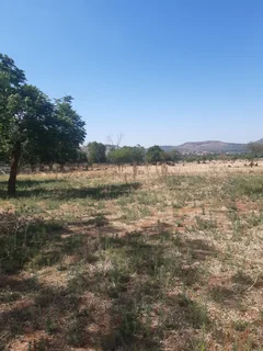 Small Holding for Sale