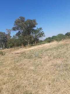 Small Holding for Sale