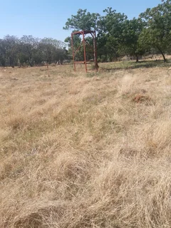 Small Holding for Sale