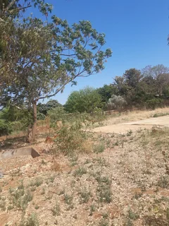 Small Holding for Sale