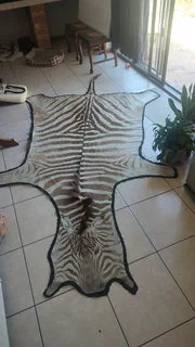 Zebra skin
