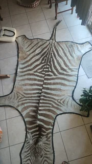 Zebra skin