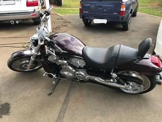2005 Harley-Davidson VRSC