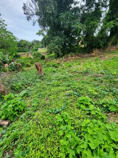 Vacant Stand - Double plot 2126sqm