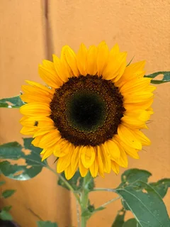 Reading And Crossover Special