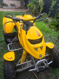 2001 Bombardiercanam DS