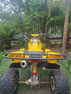 2001 Bombardiercanam DS