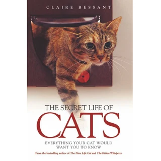 The Secret Life of Cats