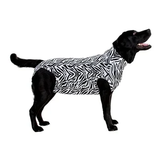 MPS – Veterinary Range Shirt DOG