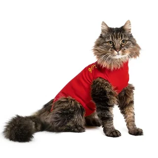 MPS – Veterinary Range Shirt CAT