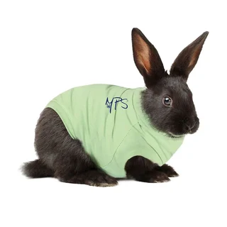 MPS – Veterinary Range Shirt Rabbit