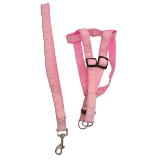 Medium Puppy Harness &amp; Lead (122 x 2cm)