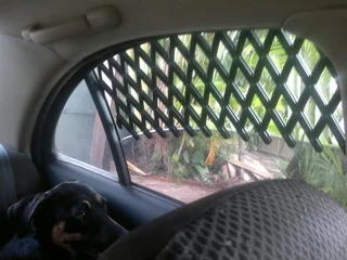 Window ventilation lattice (20 – 70cm)