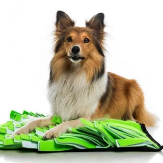 Pet Snuffle Mat Green/White (40 x 40 x 14.5cm)