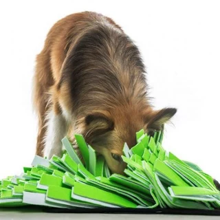 Pet Snuffle Mat Green/White (40 x 40 x 14.5cm)