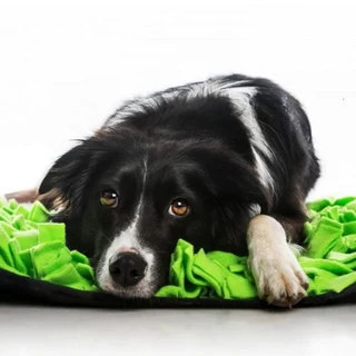 Pet Snuffle Mat Green (50 x 50 x 9cm)