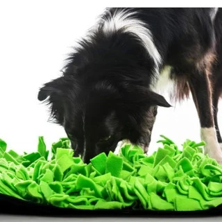 Pet Snuffle Mat Green (50 x 50 x 9cm)