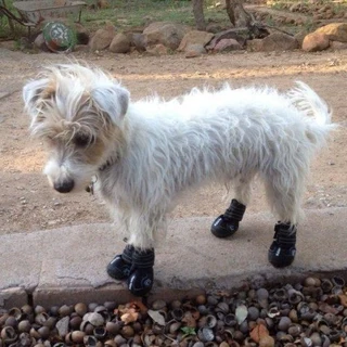 Walker Active Boots [set of 2] (4cm – 8cm)