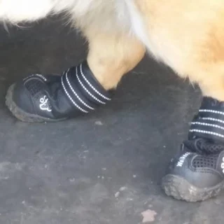 Walker Active Boots [set of 2] (4cm – 8cm)